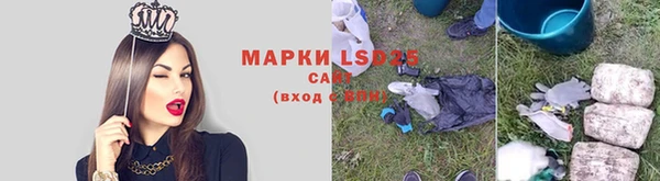 гашик Белокуриха
