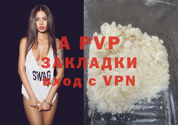 гашик Белокуриха