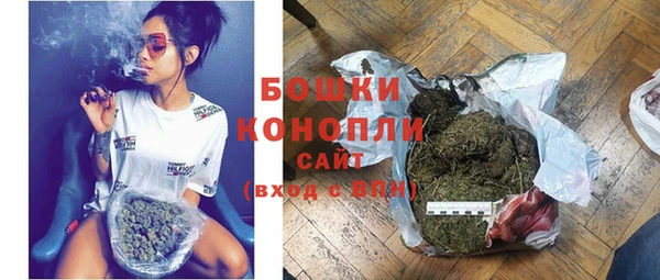 гашик Белокуриха