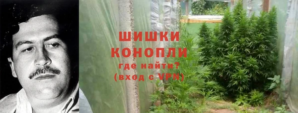 эйфоретик Беломорск